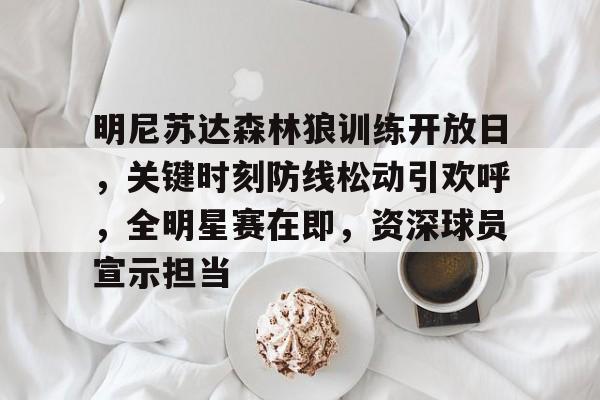 明尼苏达森林狼训练开放日，关键时刻防线松动引欢呼，全明星赛在即，资深球员宣示担当的简单介绍